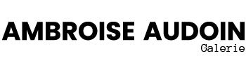 Ambroise Audoin Galerie
