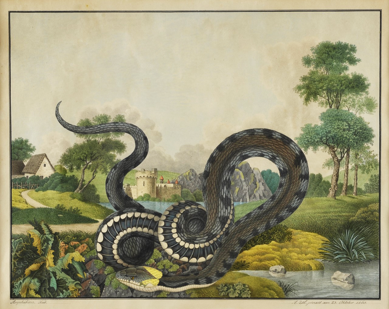 oeuvre de Aloys Zotl